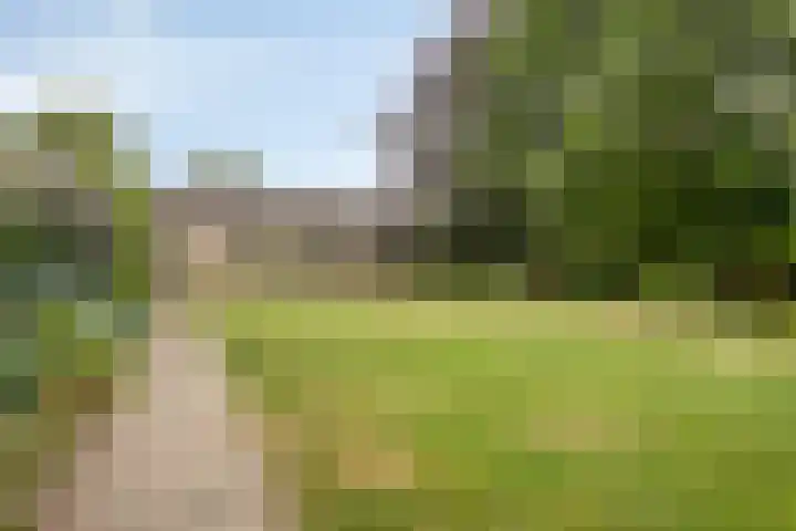 Landrop 14 Hoogeloon thumbnail 46