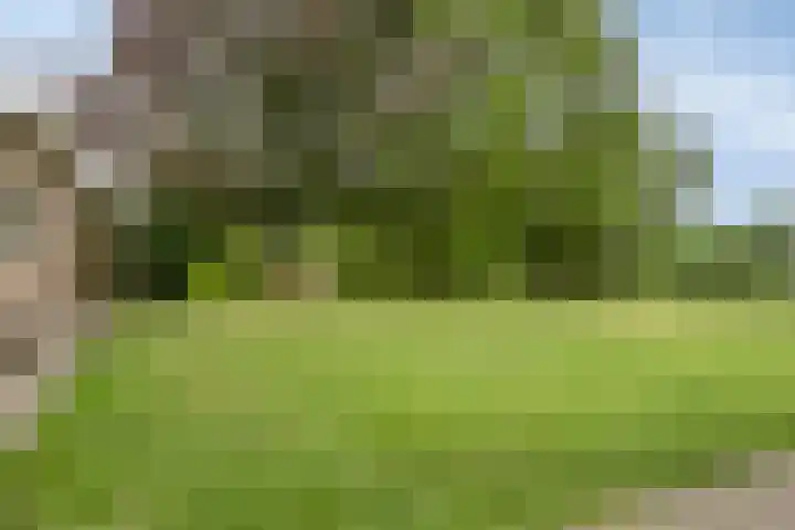 Landrop 14 Hoogeloon thumbnail 47