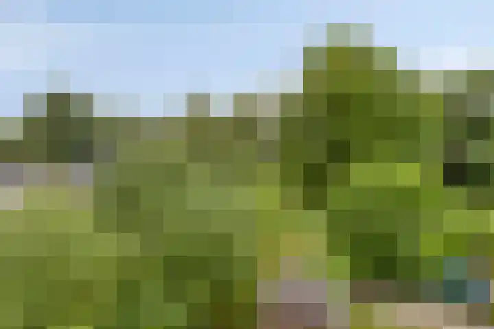 Landrop 14 Hoogeloon thumbnail 48