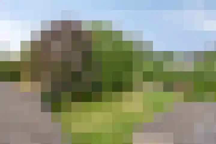Landrop 14 Hoogeloon thumbnail 49