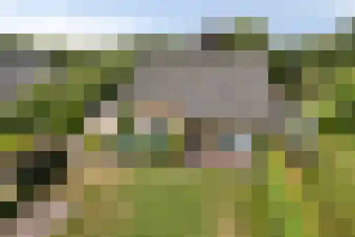 Landrop 14 Hoogeloon thumbnail 5