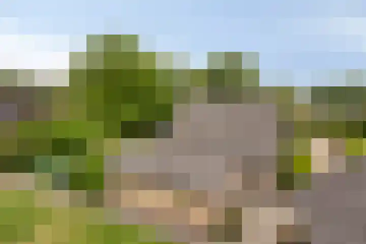 Landrop 14 Hoogeloon thumbnail 50