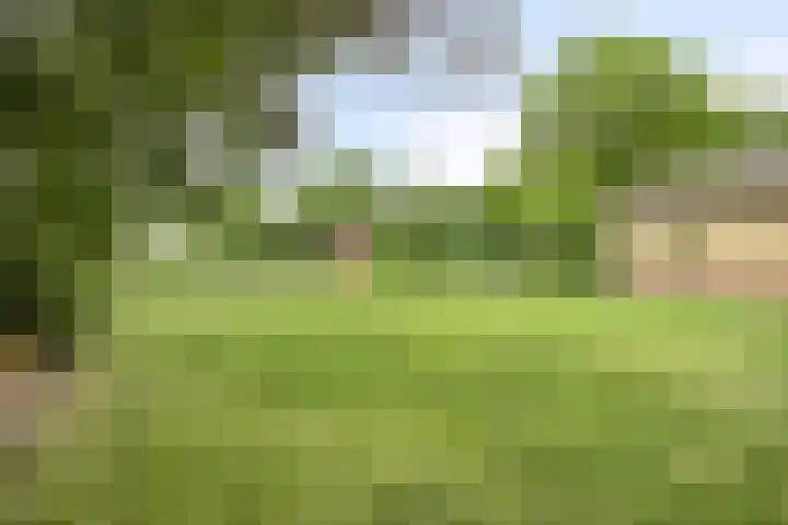 Landrop 14 Hoogeloon thumbnail 52