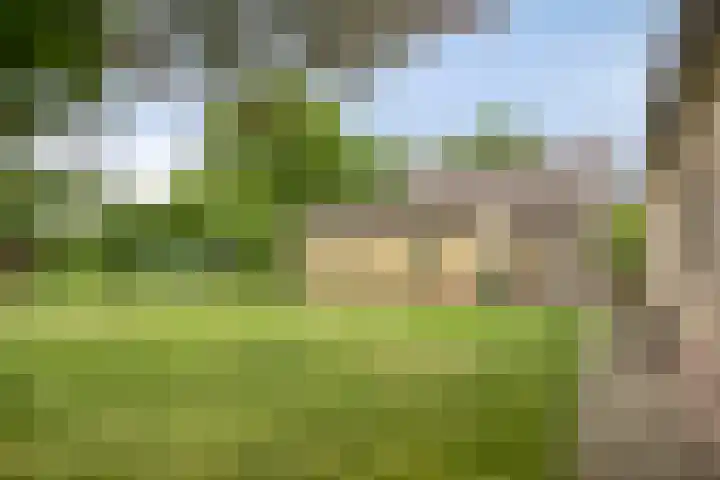 Landrop 14 Hoogeloon thumbnail 53
