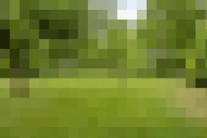 Landrop 14 Hoogeloon thumbnail 54