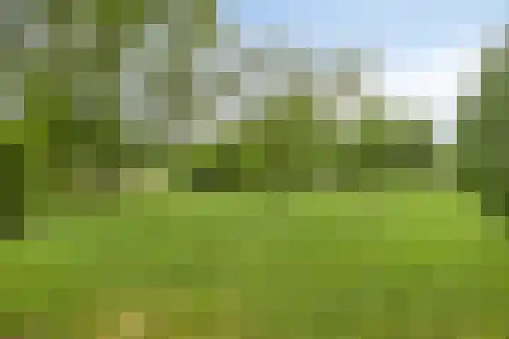Landrop 14 Hoogeloon thumbnail 55