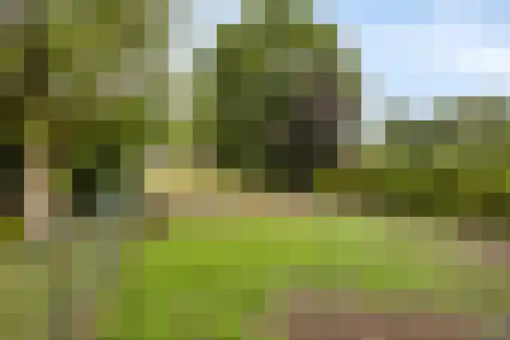 Landrop 14 Hoogeloon thumbnail 56