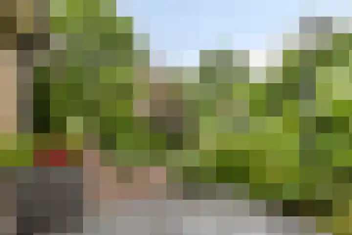 Landrop 14 Hoogeloon thumbnail 57