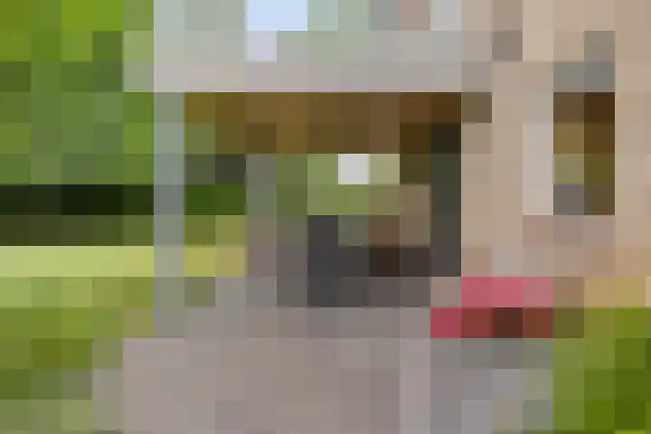 Landrop 14 Hoogeloon thumbnail 58