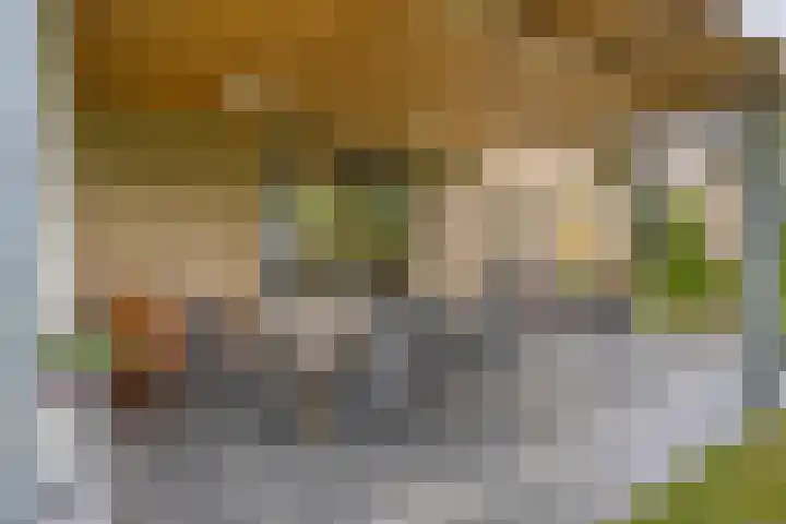 Landrop 14 Hoogeloon thumbnail 59