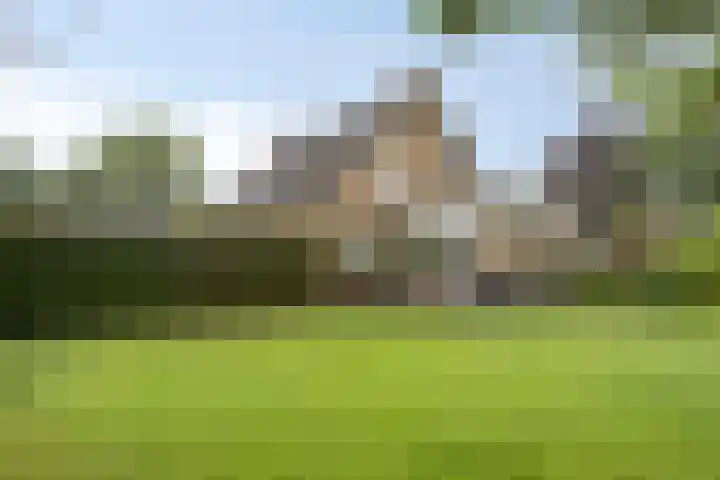 Landrop 14 Hoogeloon thumbnail 60