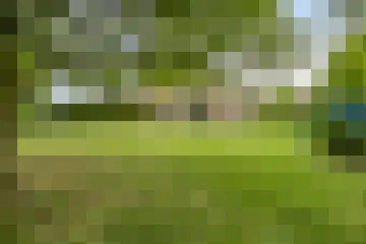 Landrop 14 Hoogeloon thumbnail 61