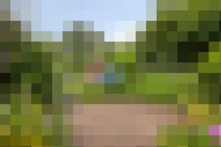Landrop 14 Hoogeloon thumbnail 62
