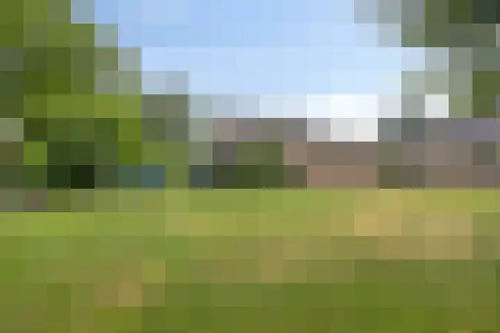 Landrop 14 Hoogeloon thumbnail 63