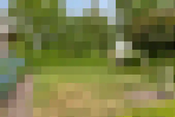 Landrop 14 Hoogeloon thumbnail 64