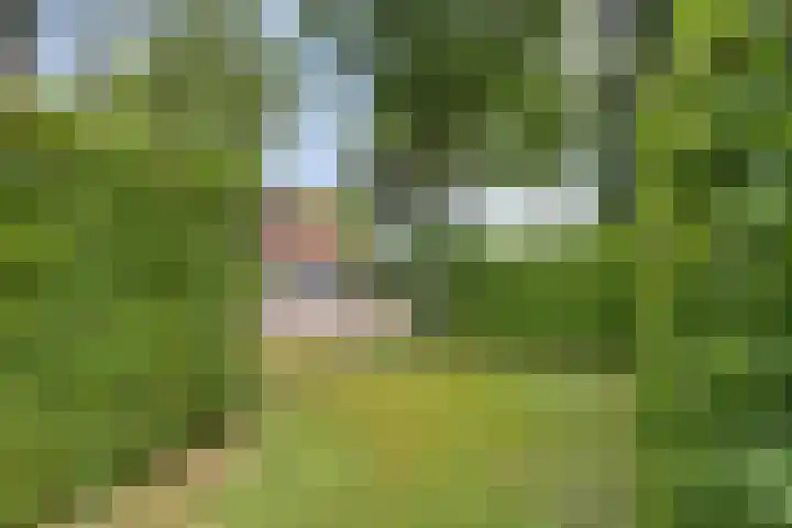 Landrop 14 Hoogeloon thumbnail 65