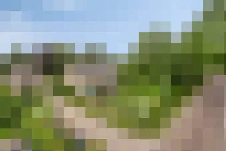 Landrop 14 Hoogeloon thumbnail 66