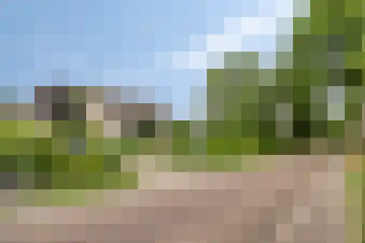 Landrop 14 Hoogeloon thumbnail 8