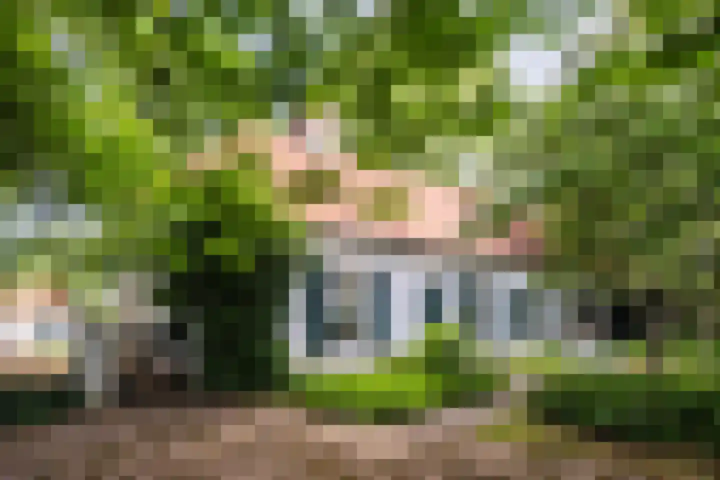 Landrop 21 in Hoogeloon