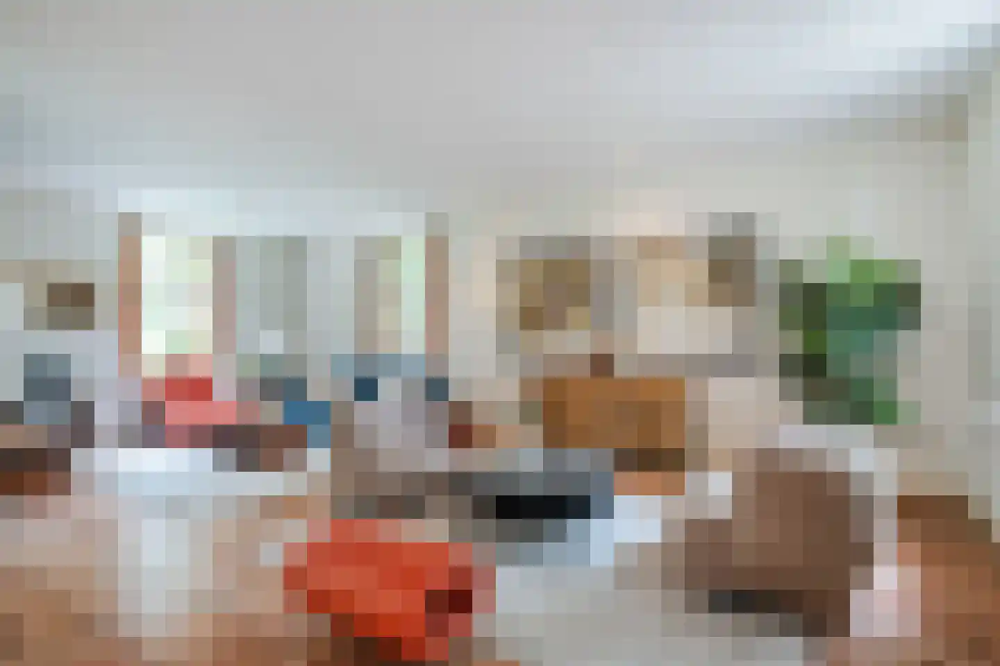 Landrop 21 Hoogeloon thumbnail 10