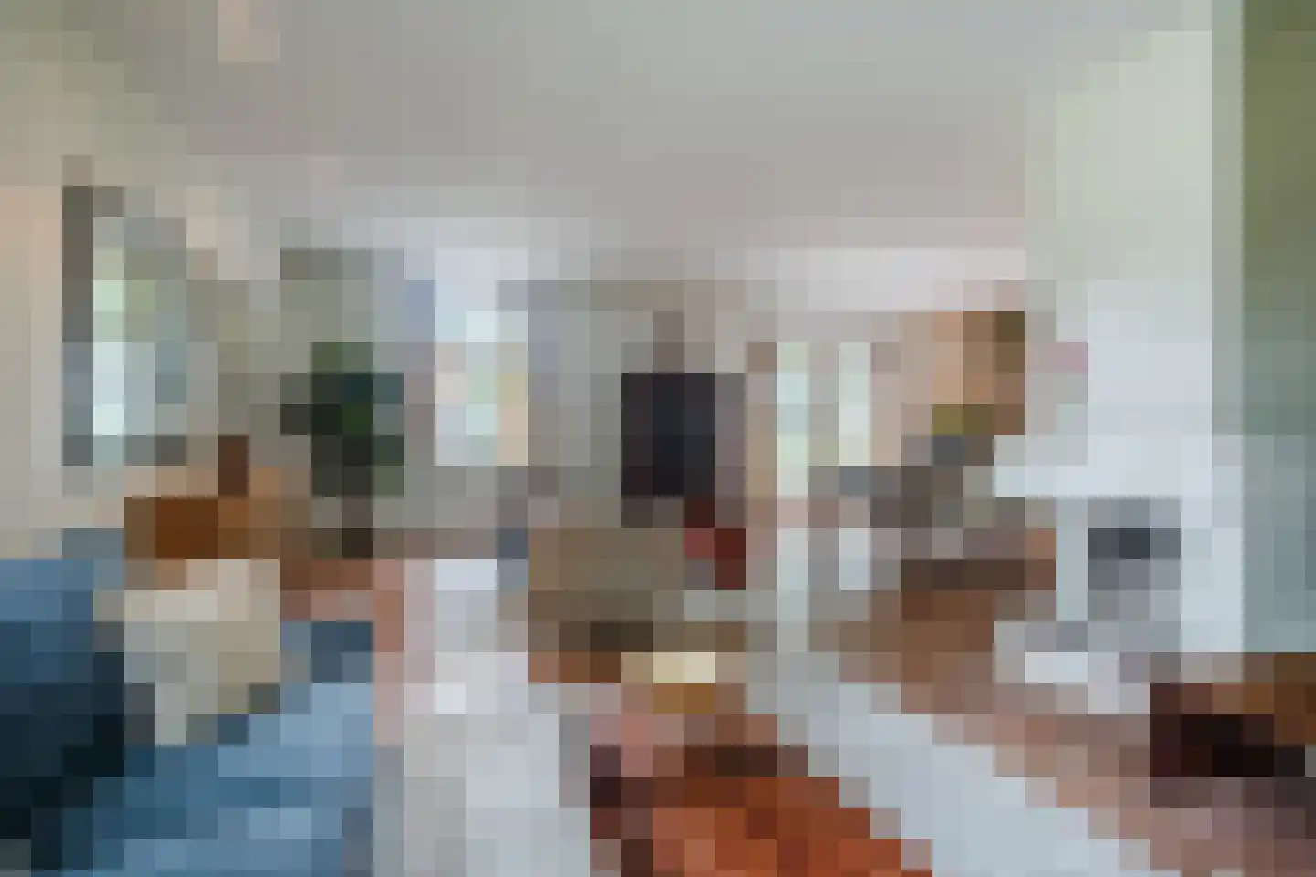 Landrop 21 Hoogeloon thumbnail 13