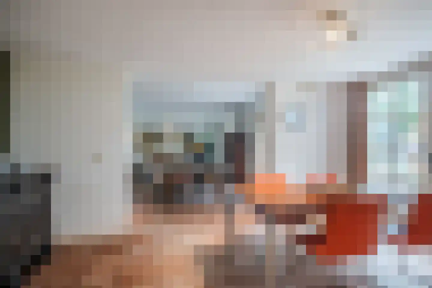 Landrop 21 Hoogeloon thumbnail 18