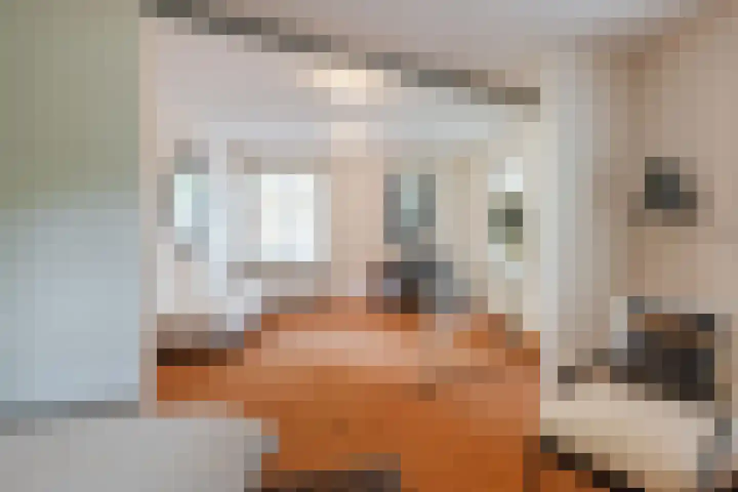 Landrop 21 Hoogeloon thumbnail 26
