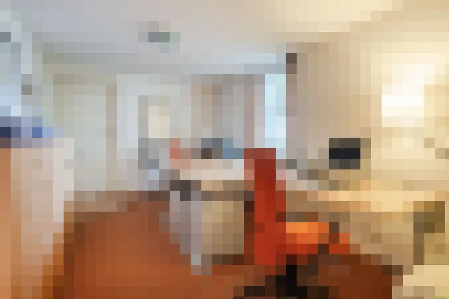 Landrop 21 Hoogeloon thumbnail 29