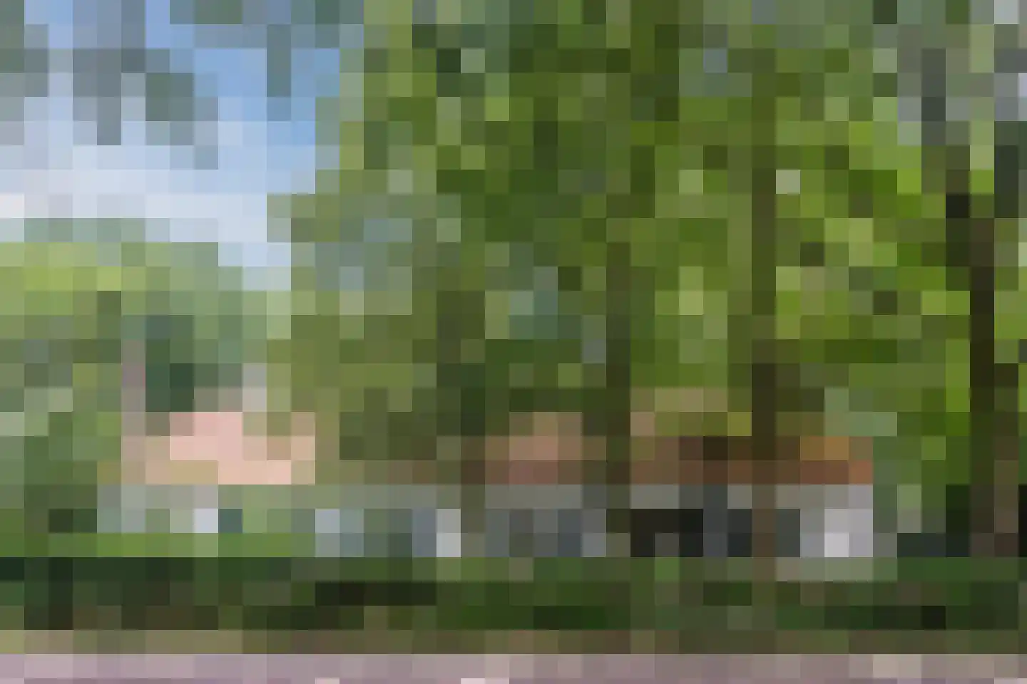 Landrop 21 Hoogeloon thumbnail 4
