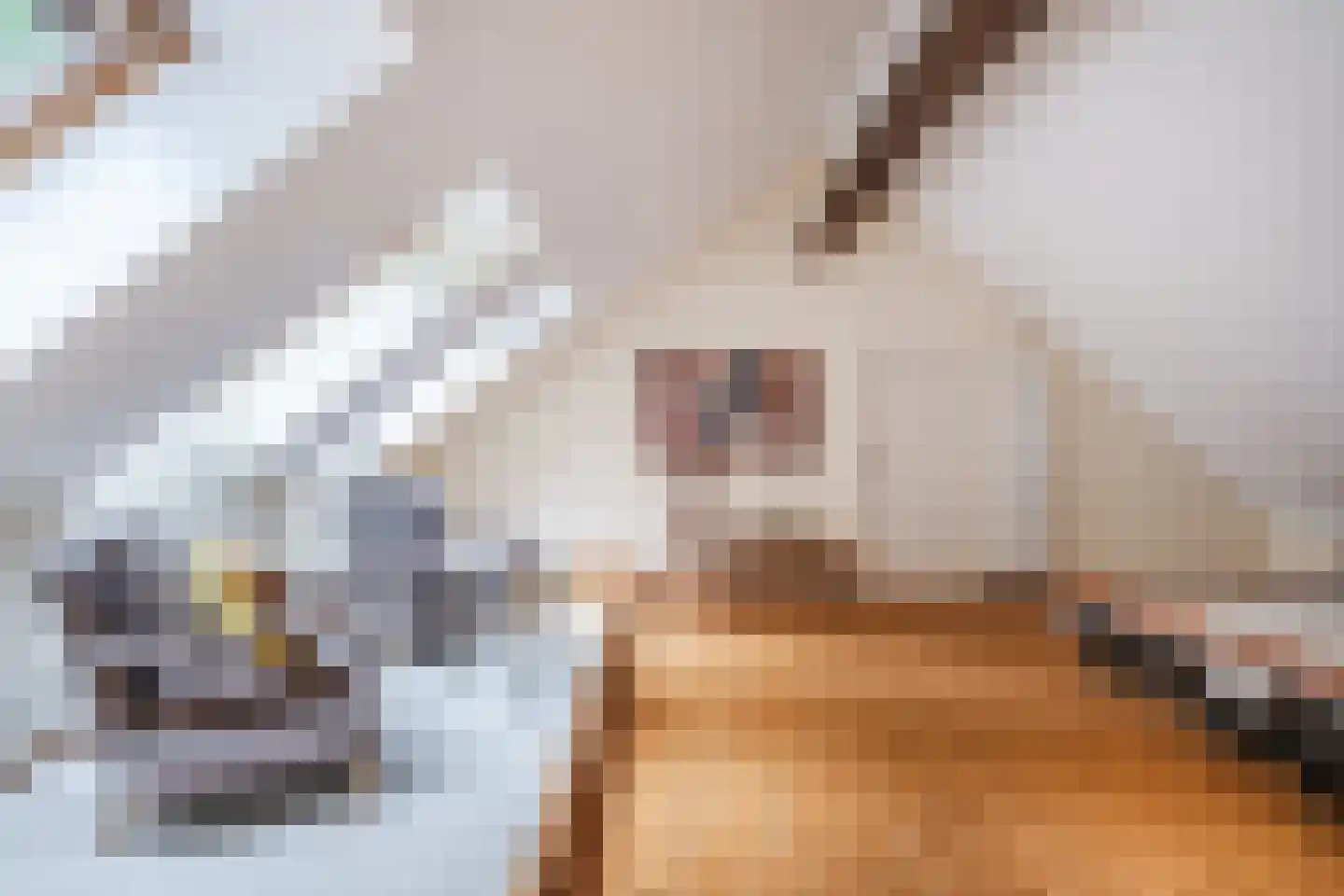 Landrop 21 Hoogeloon thumbnail 48