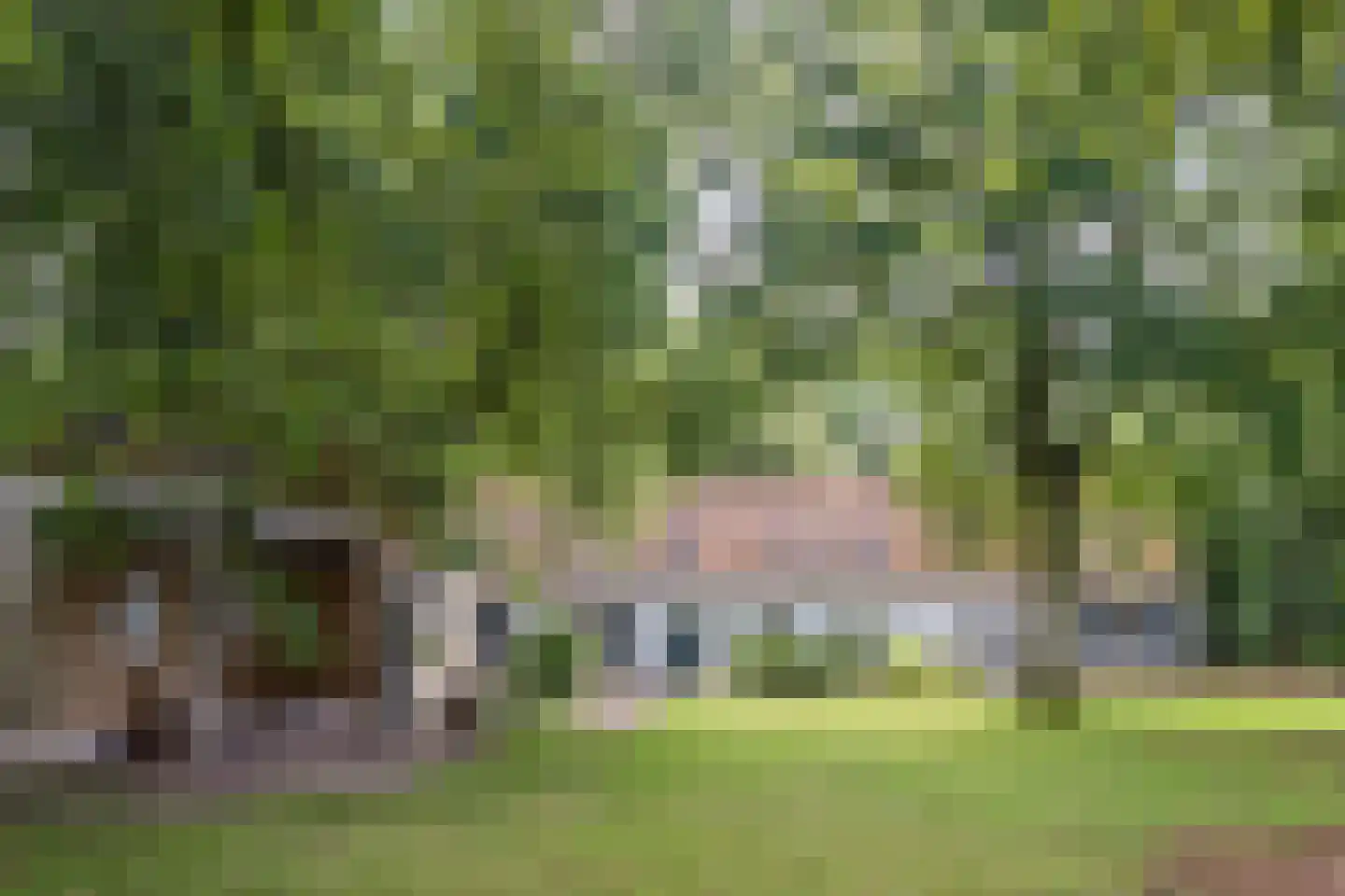 Landrop 21 Hoogeloon thumbnail 5