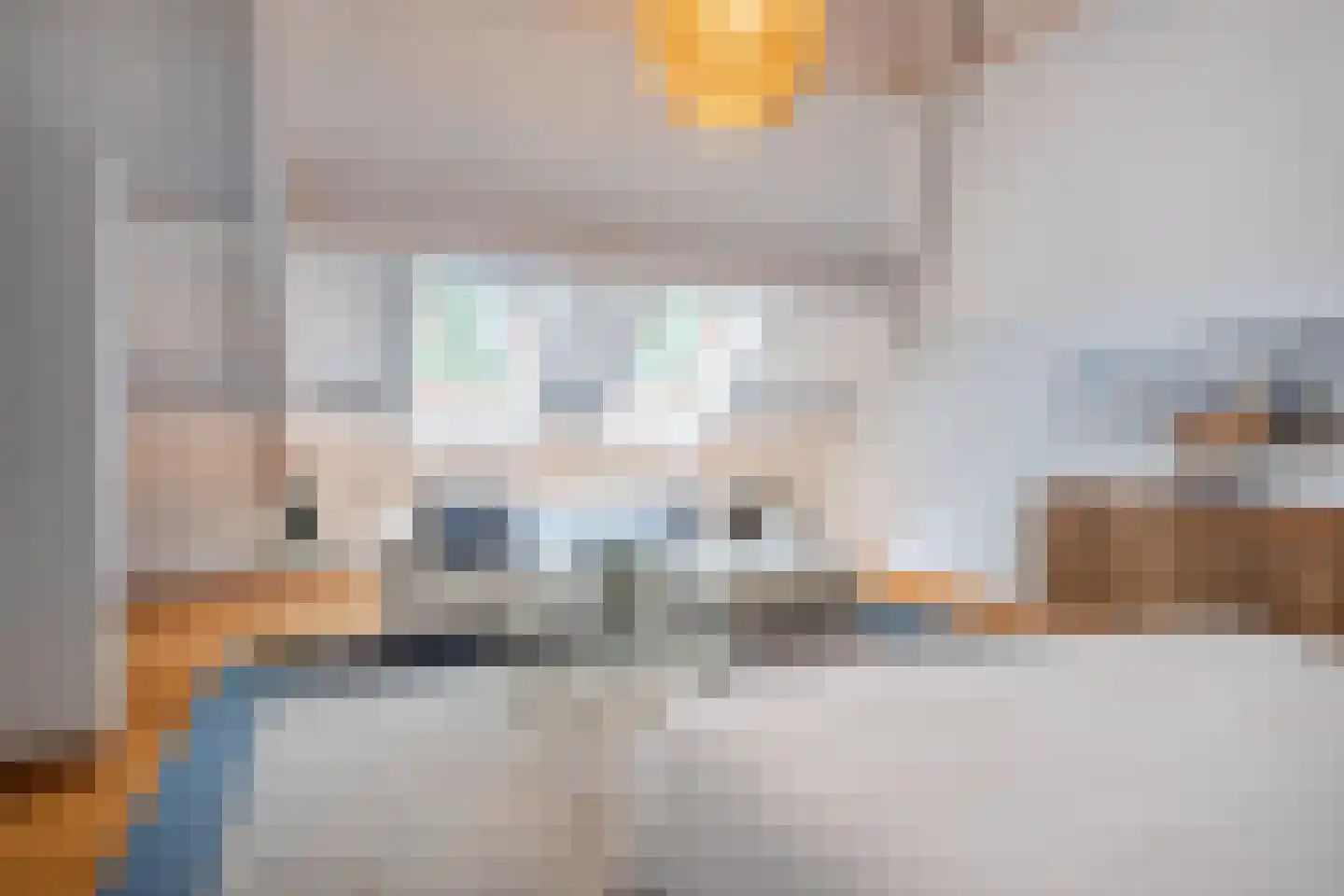 Landrop 21 Hoogeloon thumbnail 52