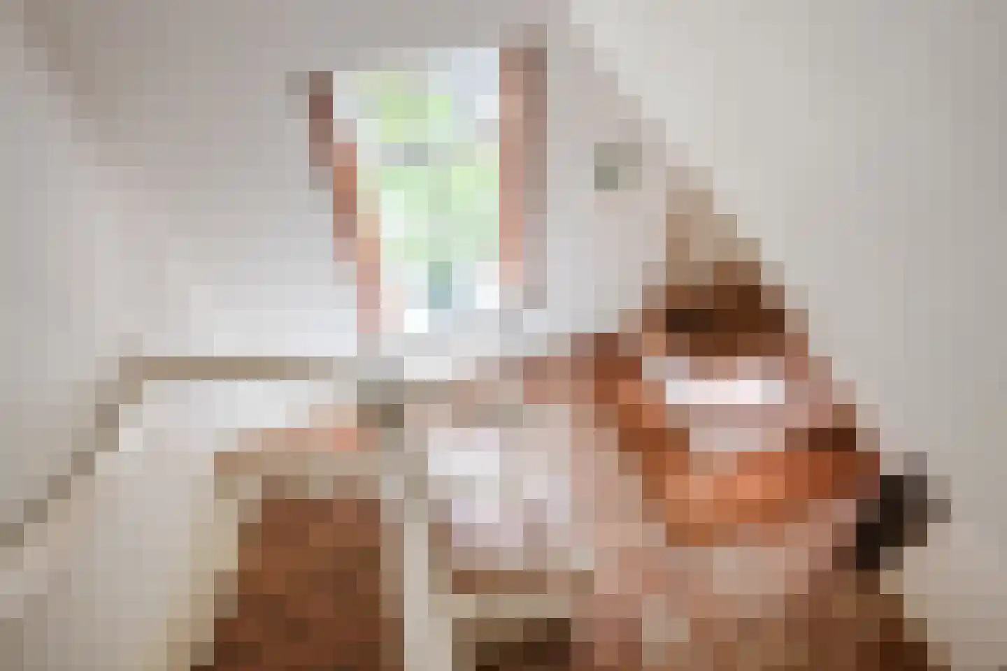 Landrop 21 Hoogeloon thumbnail 57