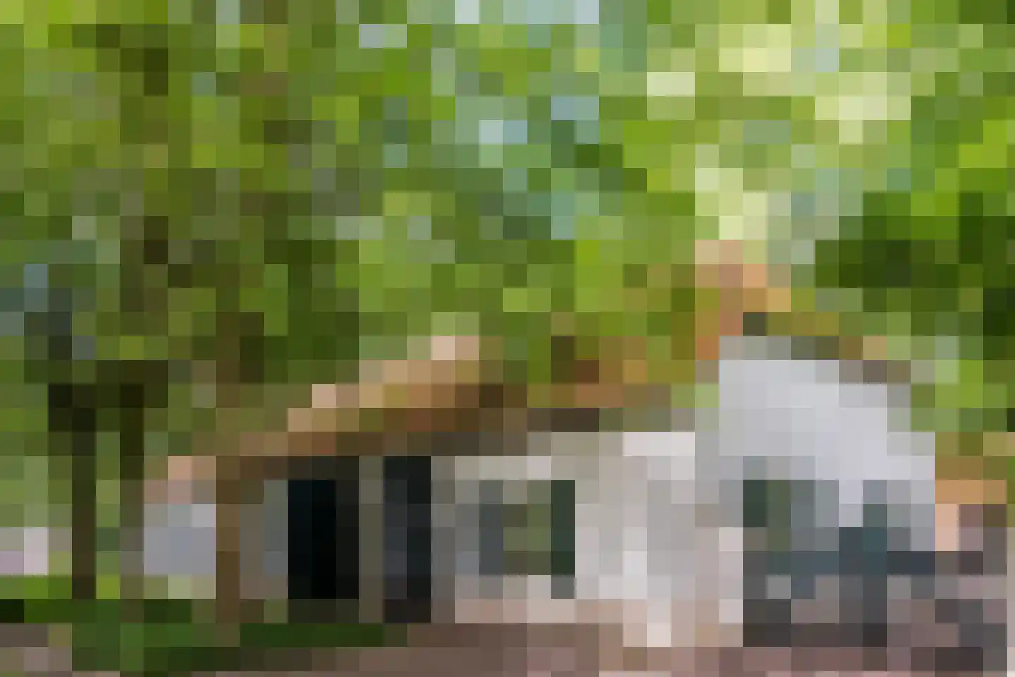 Landrop 21 Hoogeloon thumbnail 6