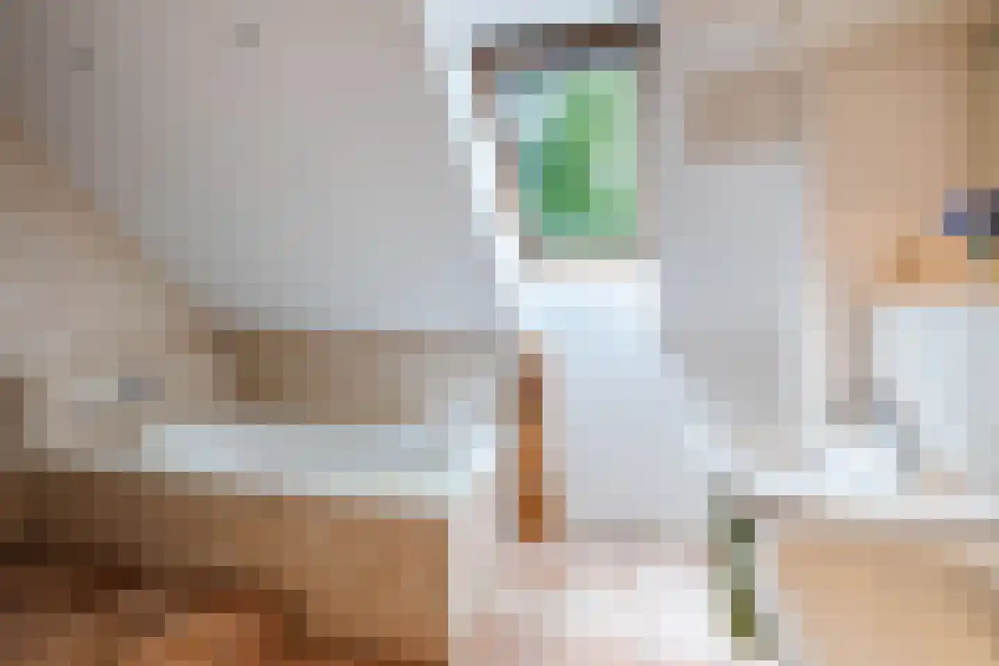 Landrop 21 Hoogeloon thumbnail 61
