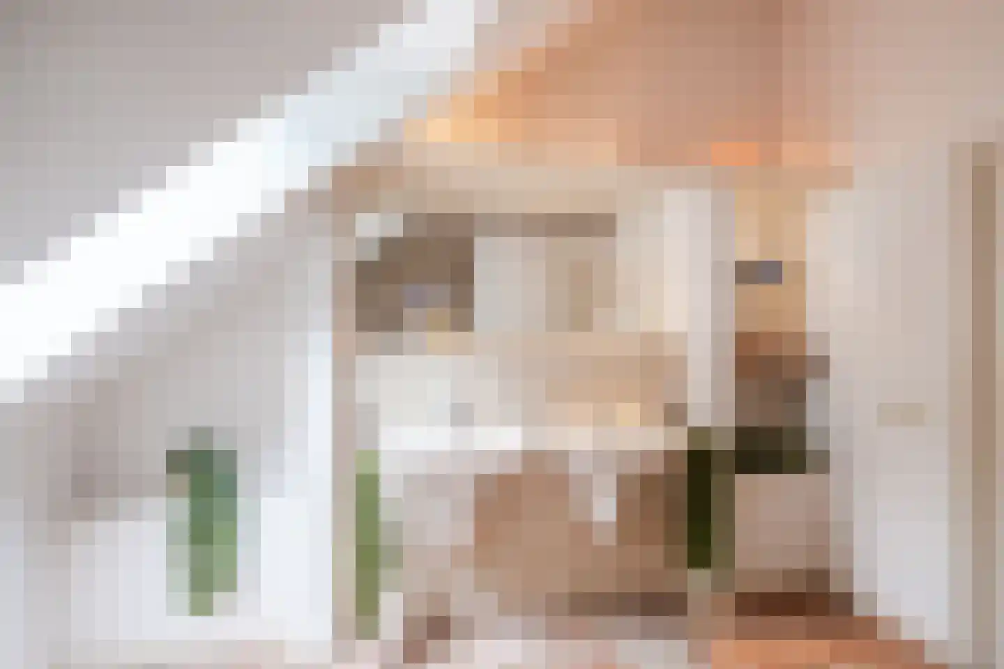 Landrop 21 Hoogeloon thumbnail 63
