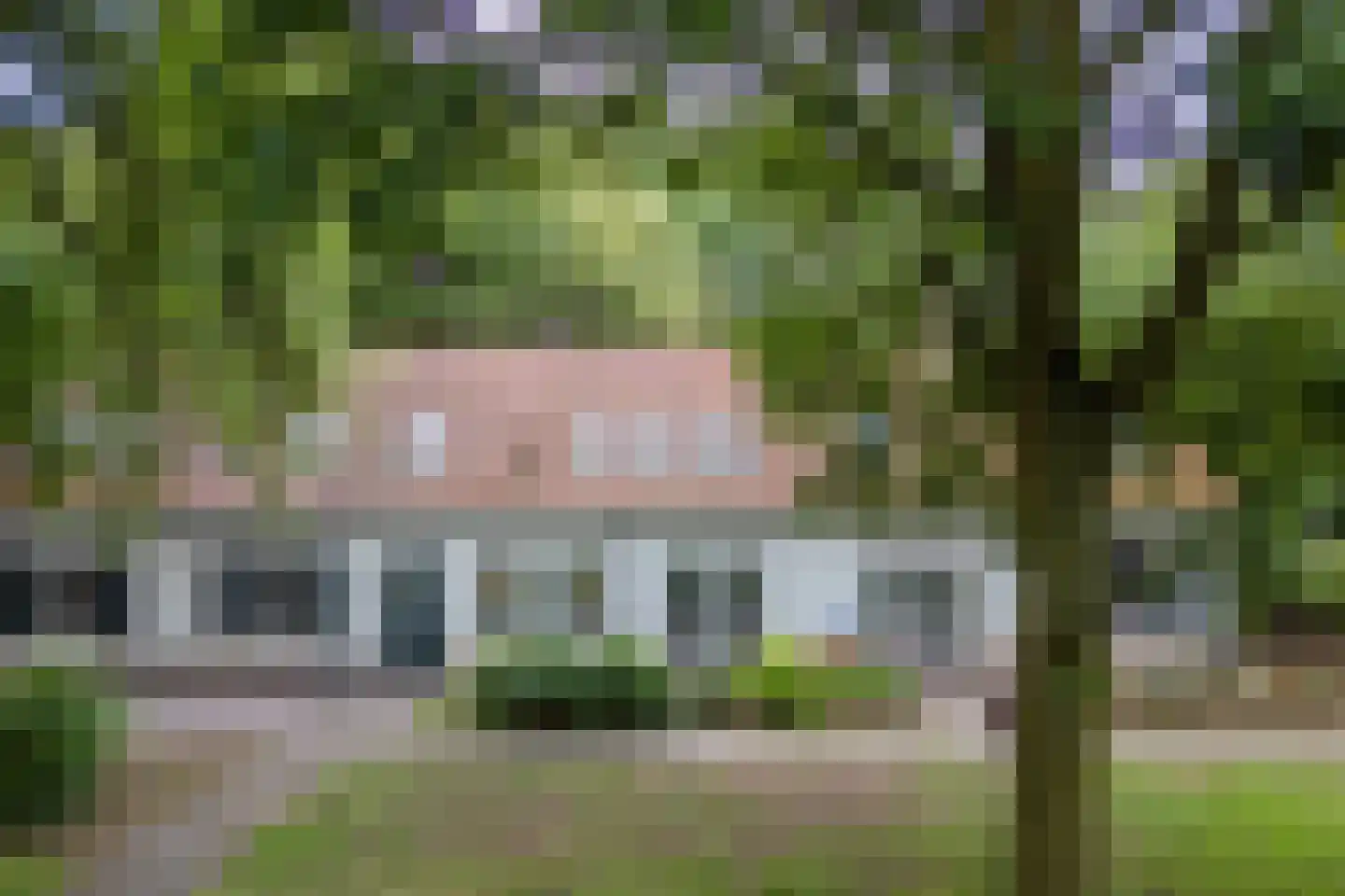 Landrop 21 Hoogeloon thumbnail 66
