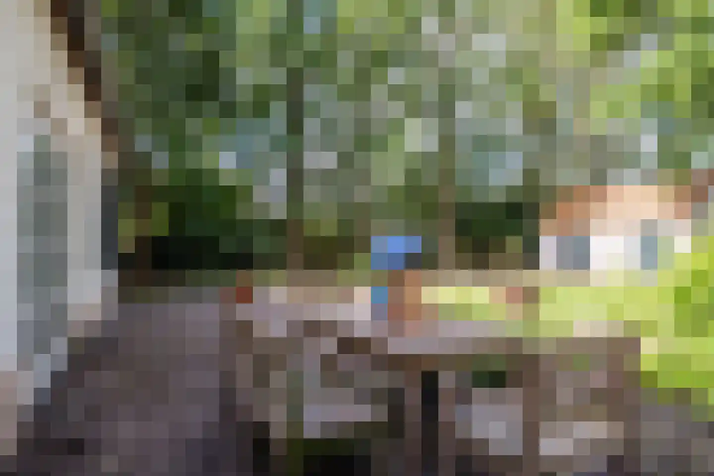 Landrop 21 Hoogeloon thumbnail 70