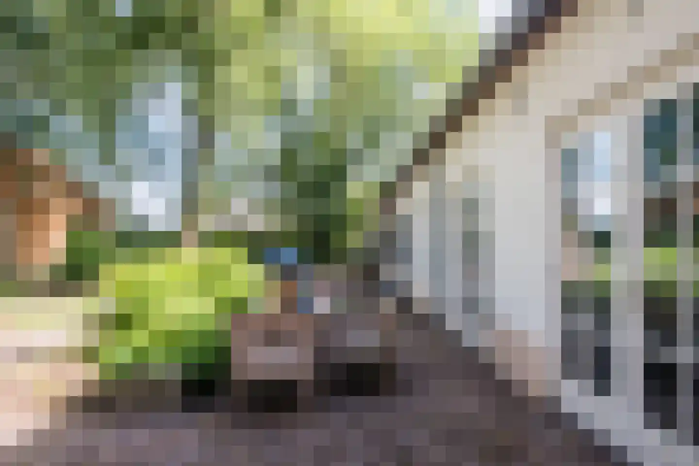 Landrop 21 Hoogeloon thumbnail 71