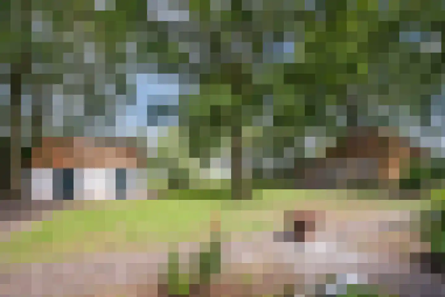 Landrop 21 Hoogeloon thumbnail 72