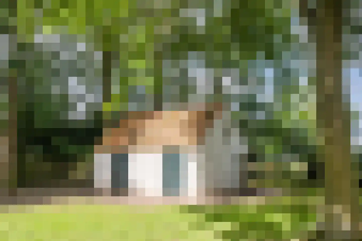 Landrop 21 Hoogeloon thumbnail 73