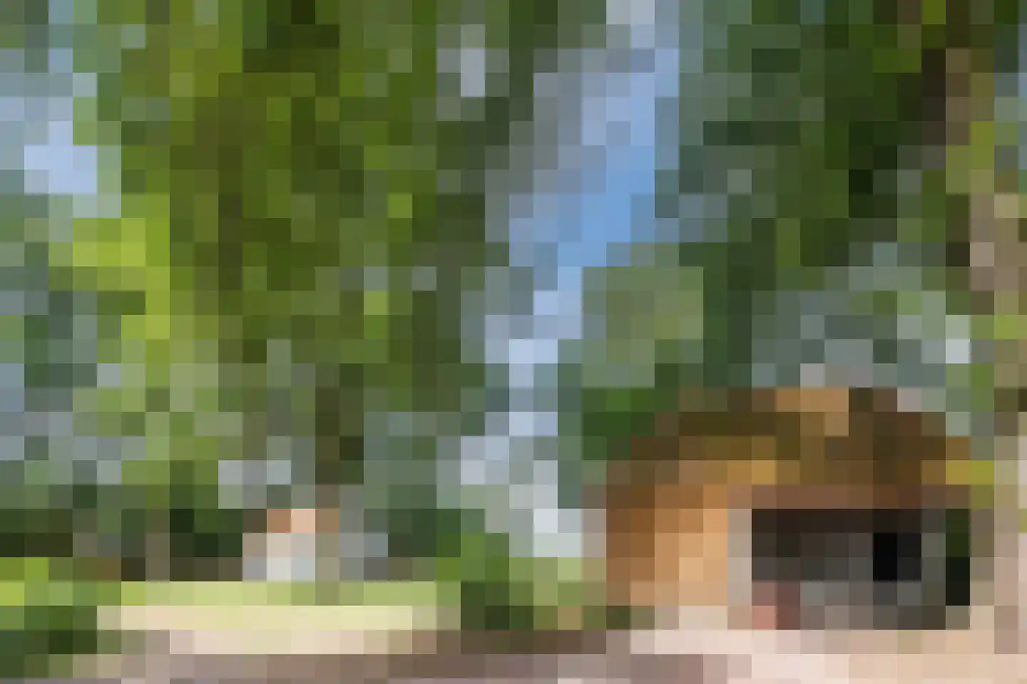 Landrop 21 Hoogeloon thumbnail 74