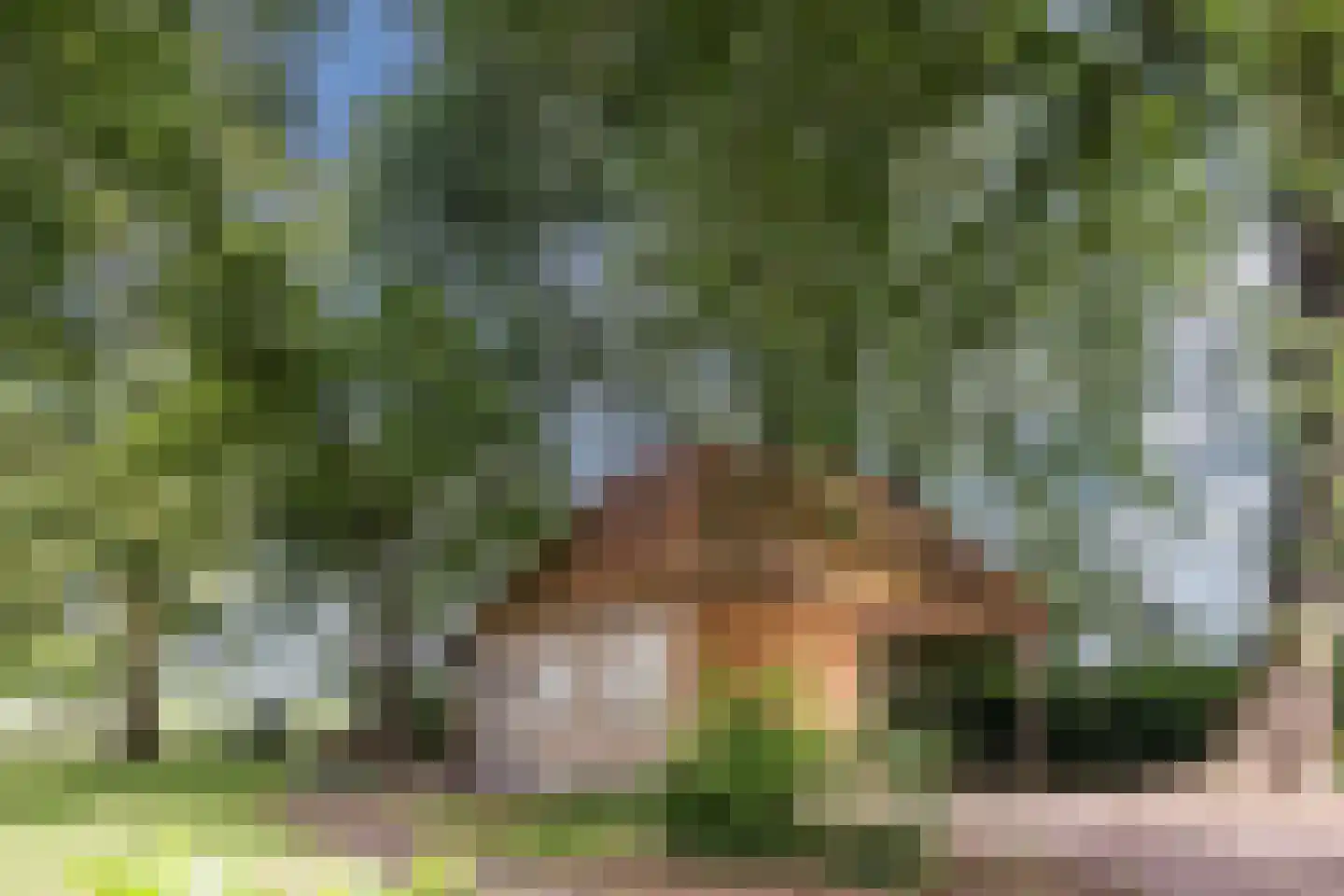 Landrop 21 Hoogeloon thumbnail 75