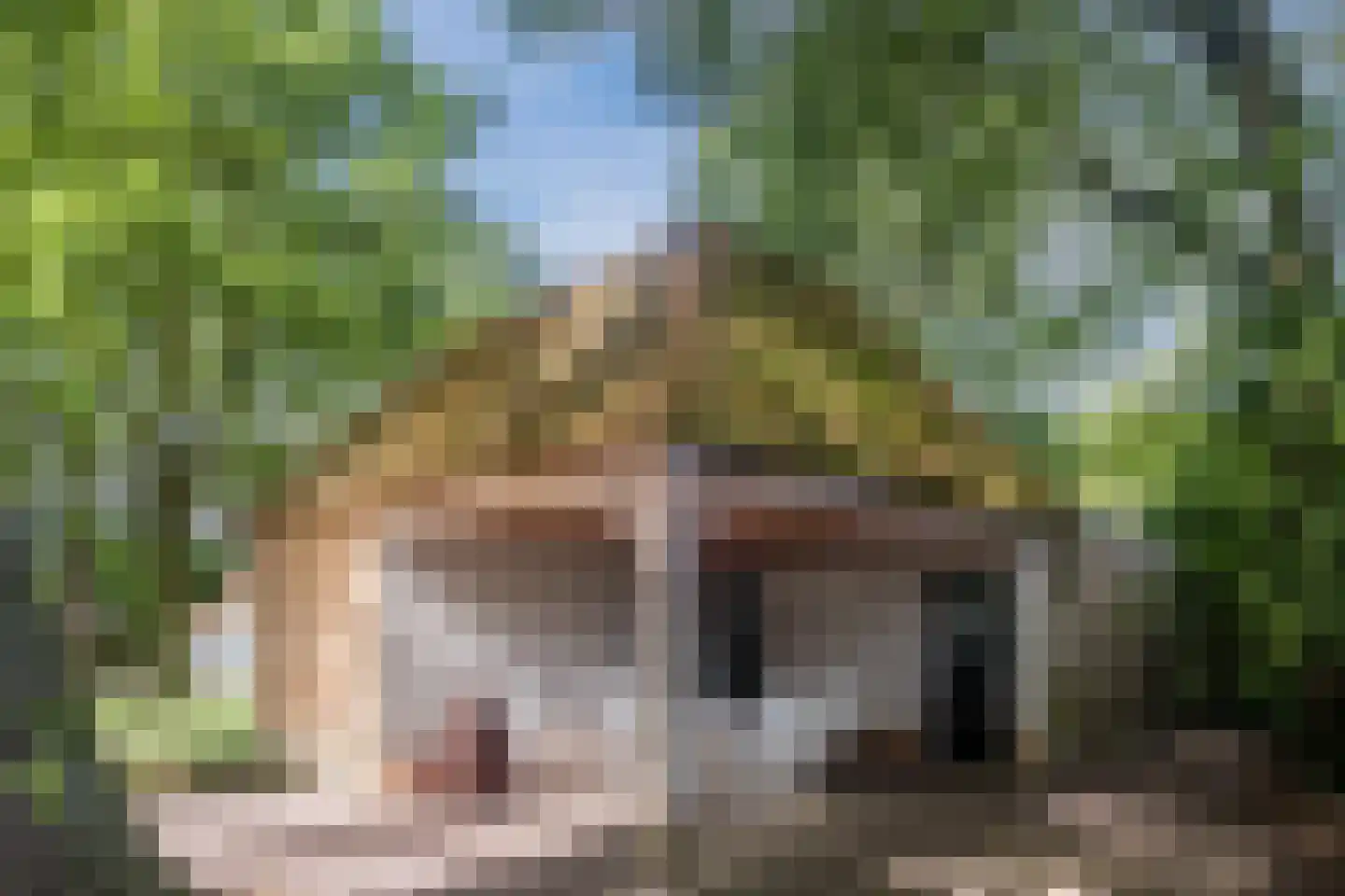 Landrop 21 Hoogeloon thumbnail 76