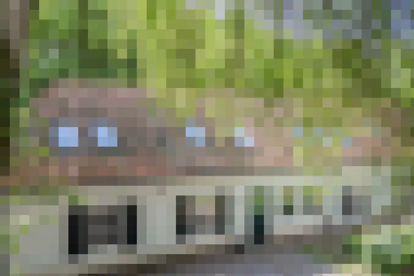 Landrop 21 Hoogeloon thumbnail 79