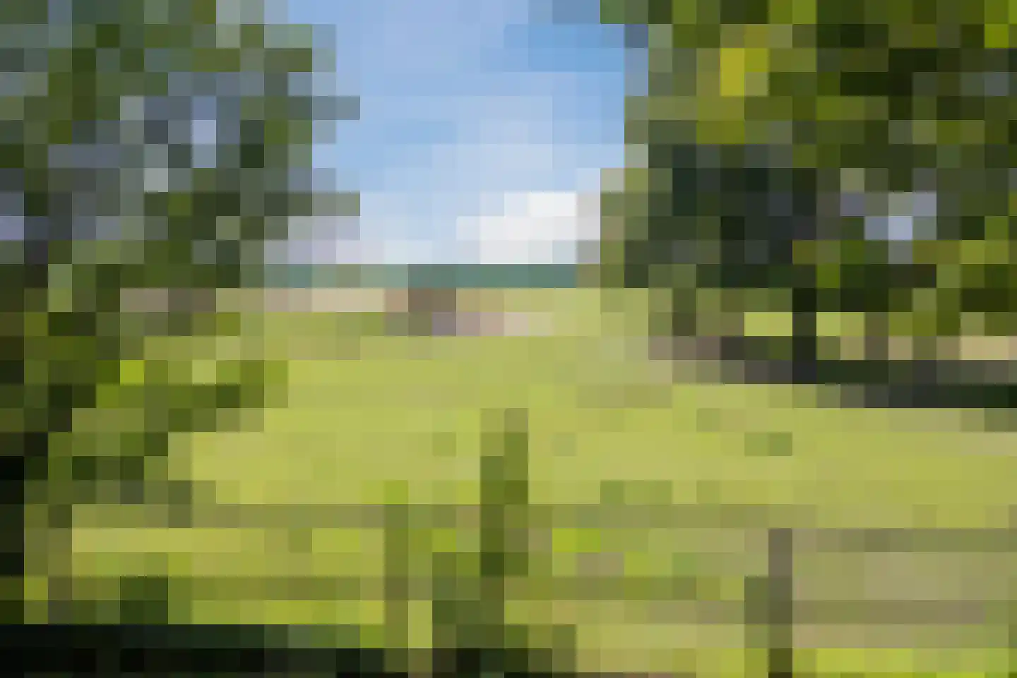 Landrop 21 Hoogeloon thumbnail 81