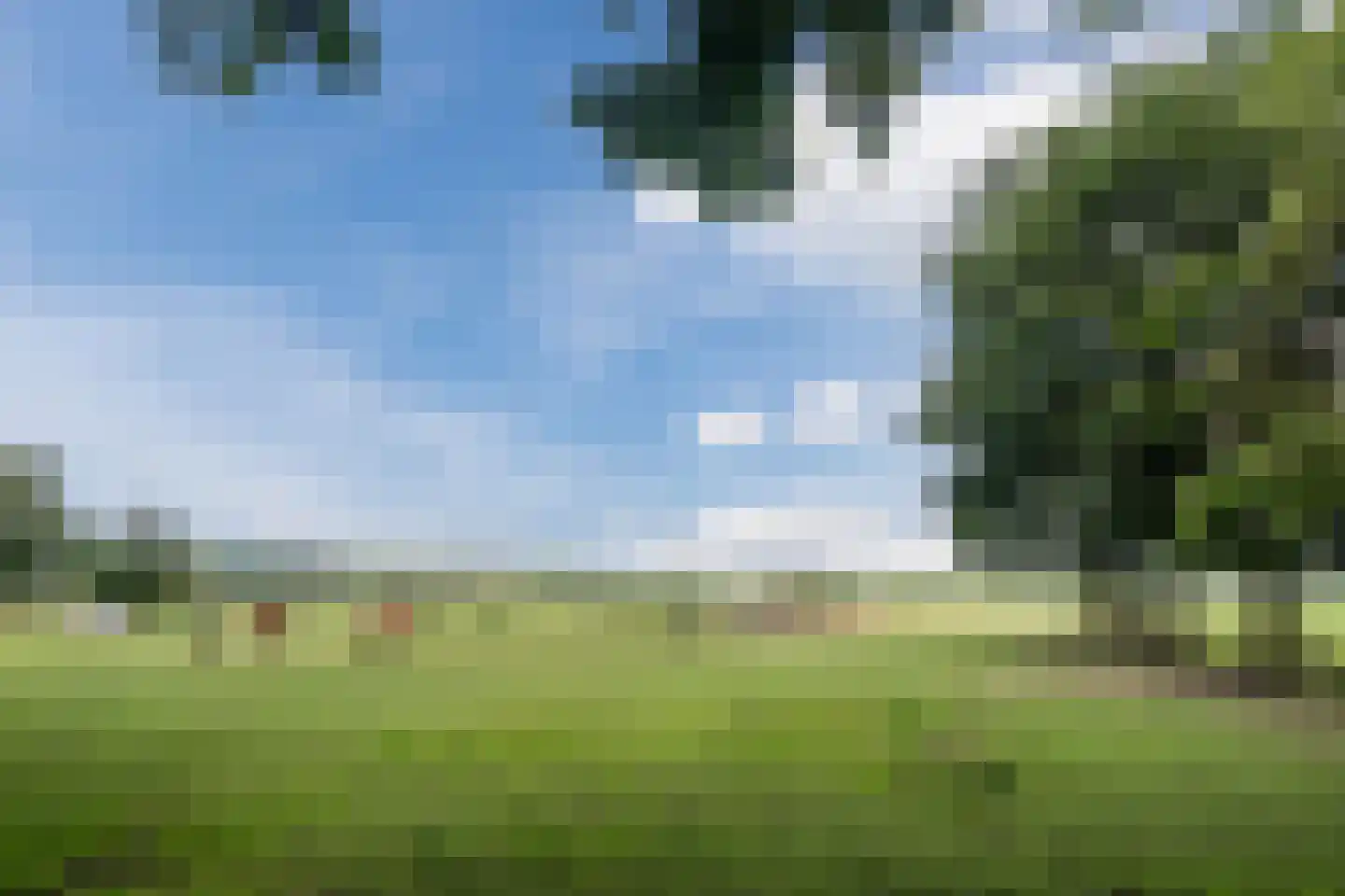 Landrop 21 Hoogeloon thumbnail 82