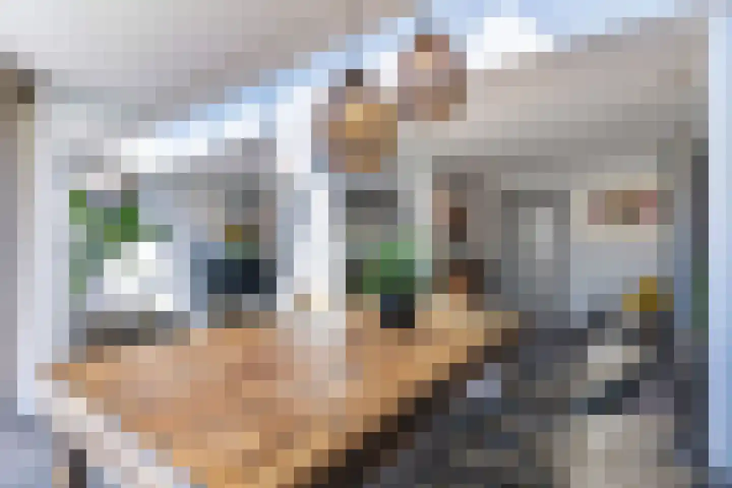 Landrust 5 Spierdijk thumbnail 21