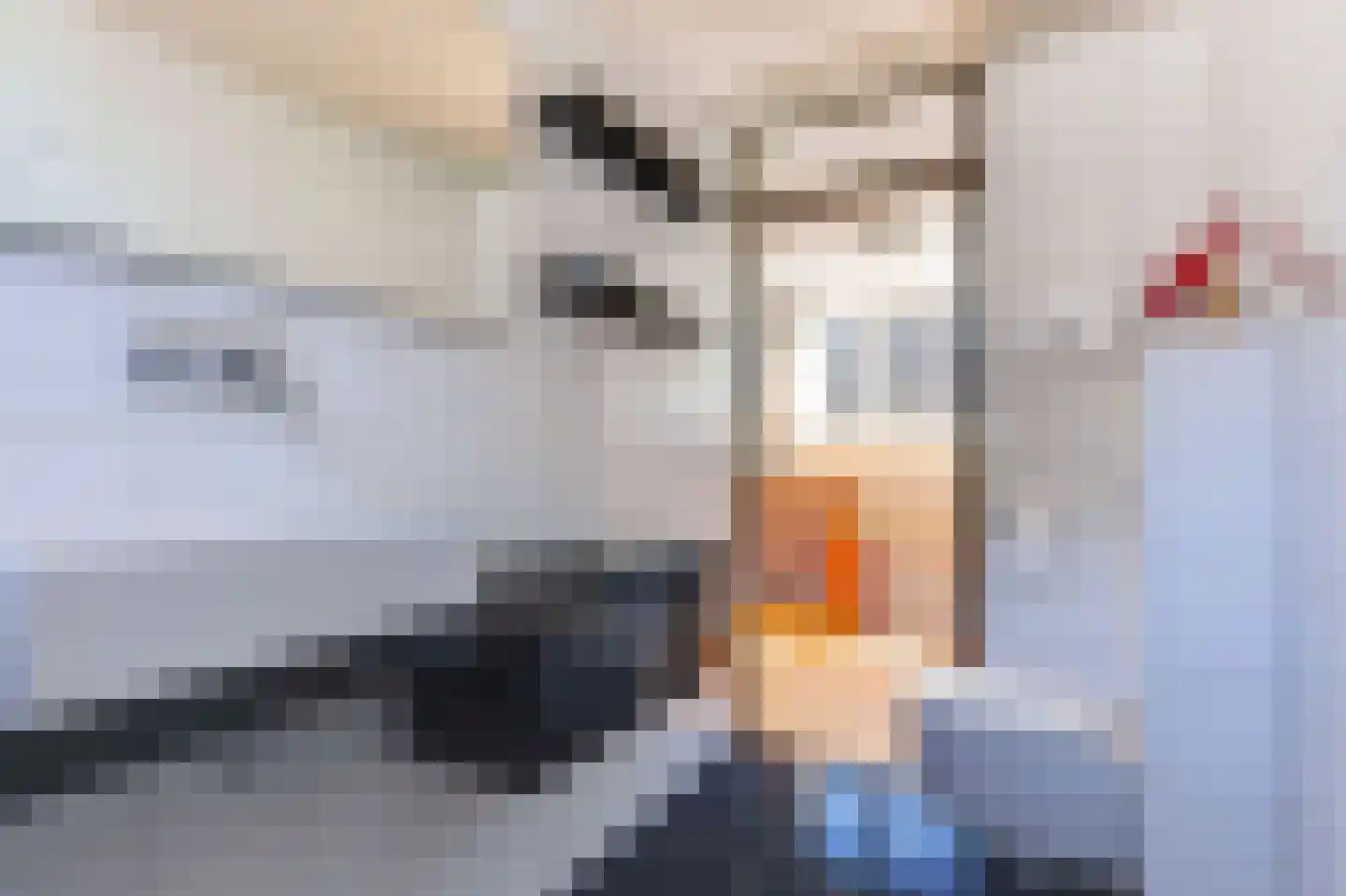 Landrust 5 Spierdijk thumbnail 37