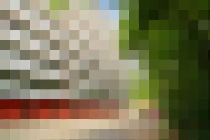Landschaplaan 107 Emmen thumbnail 19